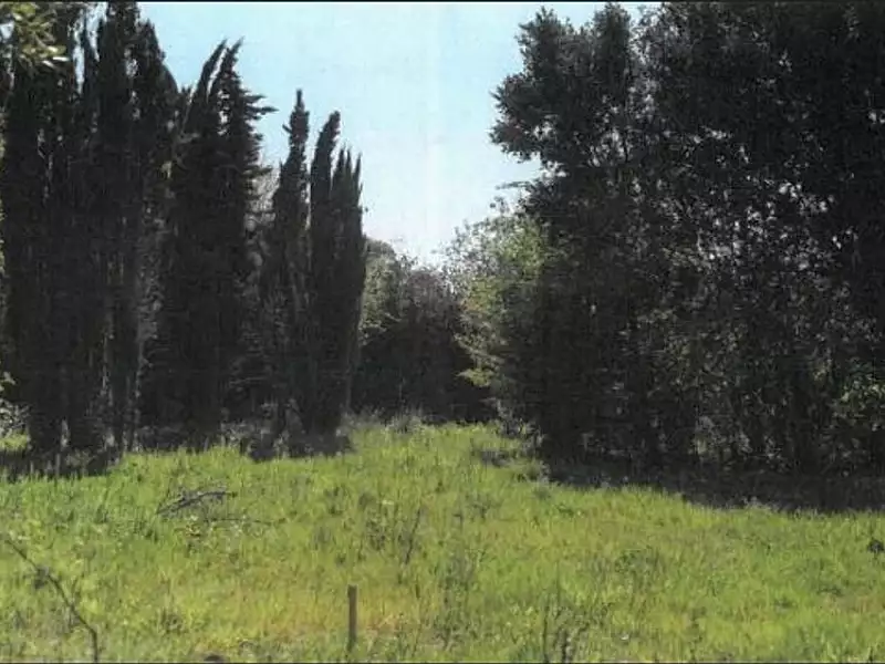 Terrain à bâtir, 1 600 m² - Vaux-sur-Mer (17640)