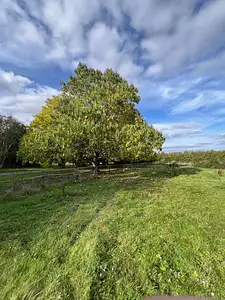 Maison neuve, 120 m²