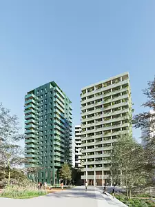 CONFLUENCES