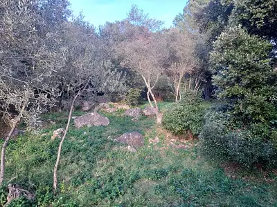 Maison neuve, 110 m²