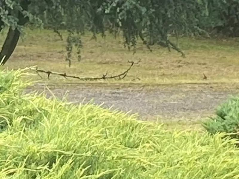 Terrain à bâtir, 500 m² - Coutevroult (77580)