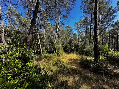 Maison neuve, 120 m²