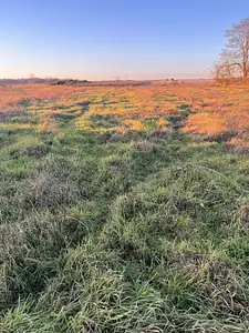 Terrain à bâtir, 1 400 m²