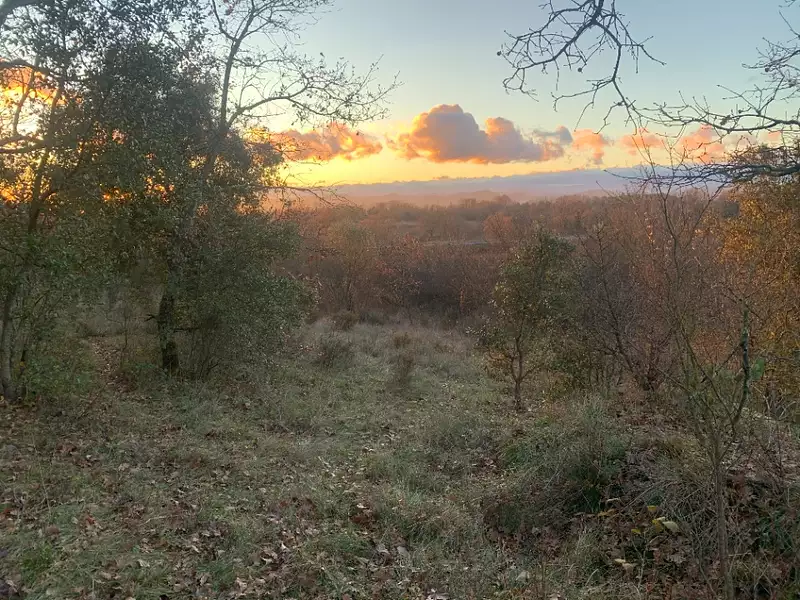 Maison neuve, 160 m² - Barjac (30430)