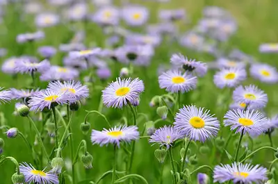 Maison neuve, 100 m²