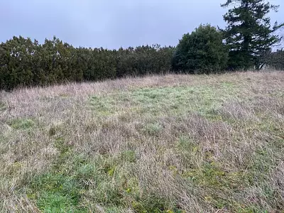 Maison neuve, 95 m²