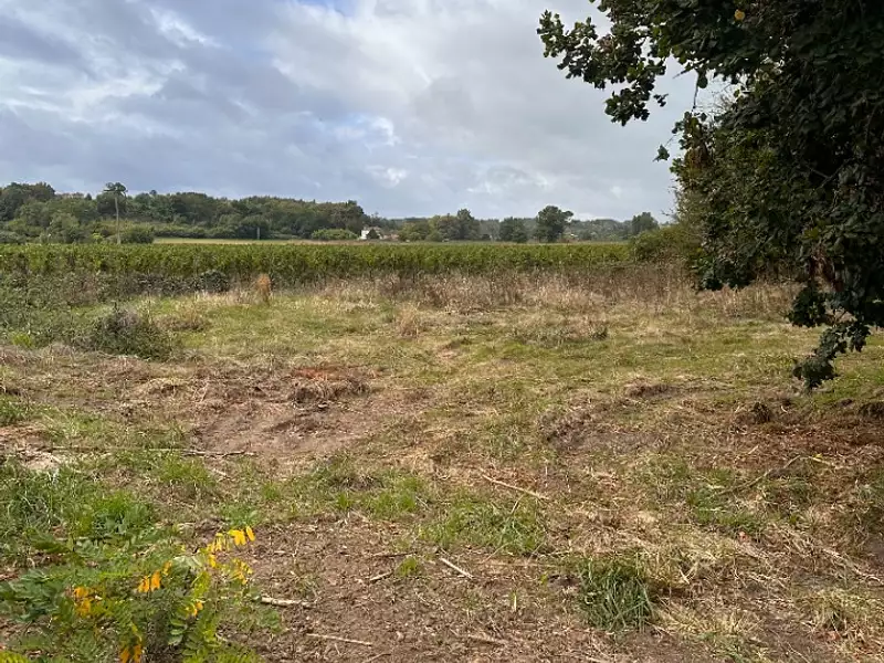 Terrain à bâtir, 1 103 m² - Génissac (33420)