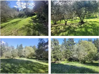 Terrain à bâtir, 1 300 m²