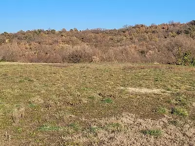 Maison neuve, 98 m²