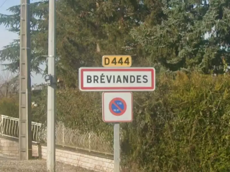 Terrain à bâtir, 737 m² - Bréviandes (10450)