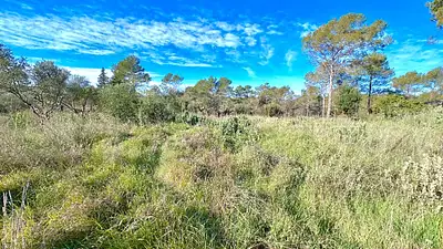 Terrain à bâtir, 1 381 m²