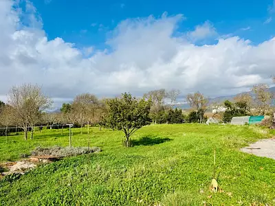 Terrain à bâtir, 730 m²