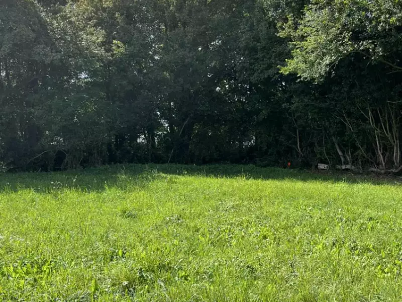 Terrain à bâtir, 582 m² - Alençon (61000)