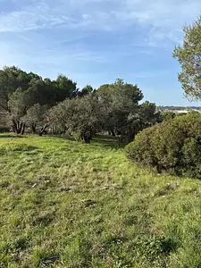 Terrain à bâtir, 647 m²