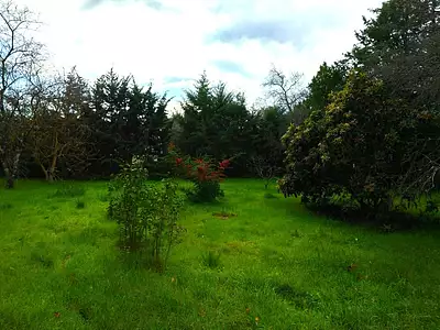 Maison neuve, 87 m²