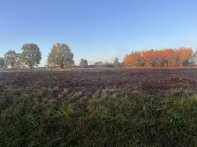 Maison neuve, 85 m²