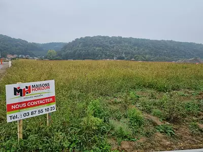 Terrain à bâtir, 241 m²