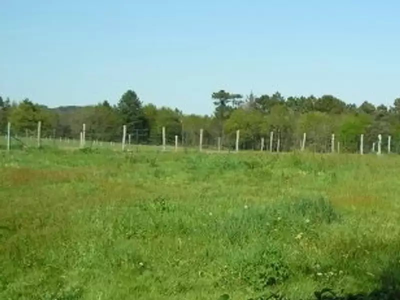 Terrain à bâtir, 1 500 m² - Rieux (56350)