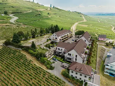 Programme neuf LES HAUTS DES CLARISSES à Sigolsheim (68240) – Karbone