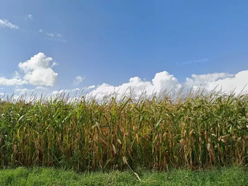 Terrain à bâtir, 764 m² - Arpajon (91290)