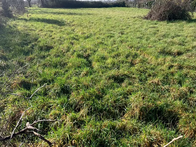 Terrain à bâtir, 1 450 m² - Chassors (16200)