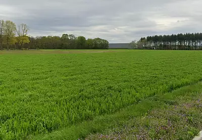 Terrain à bâtir, 476 m²