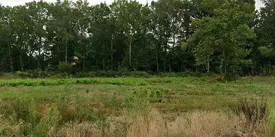 Terrain à bâtir, 873 m²