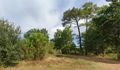 Terrain à bâtir, 2 000 m²