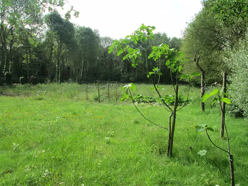Terrain à bâtir, 975 m² - Saint-Malo-de-Guersac (44550)