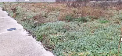 Terrain à bâtir, 514 m²