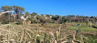 DOMAINE ROSEA APPARTEMENTS