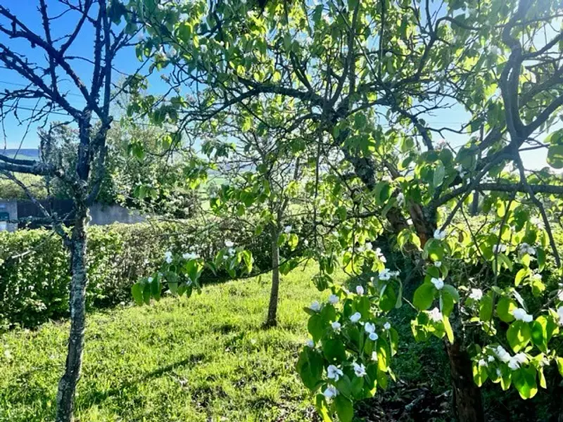 Terrain à bâtir, 850 m²