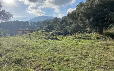 Terrain à bâtir, 1 192 m²