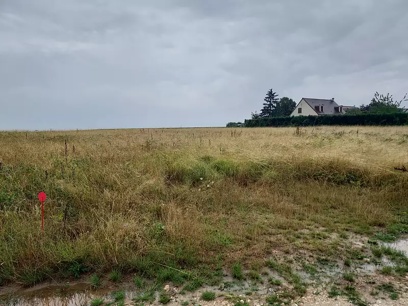 Terrain à bâtir, 1 562 m² - Mesland (41150)