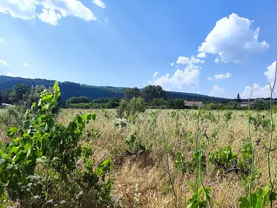 Terrain à bâtir, 1 654 m²