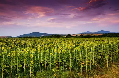 Terrain à bâtir, 1 850 m²