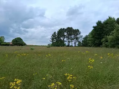 Maison neuve, 60 m²