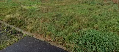 Terrain à bâtir, 520 m²