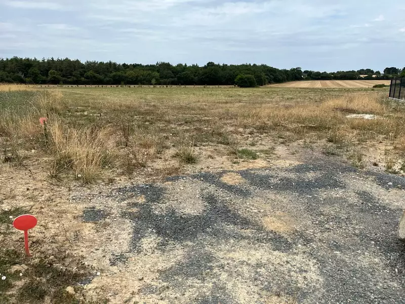 Maison neuve, 81 m² - Saint-Rémy-en-Mauges (49110)