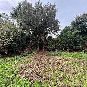 Maison neuve, 130 m²