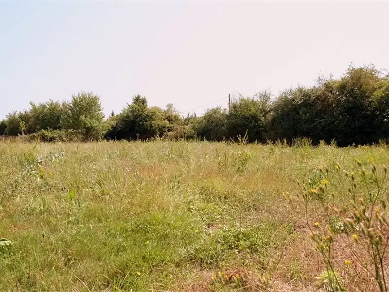 Terrain à bâtir, 500 m² - Brach (33480)
