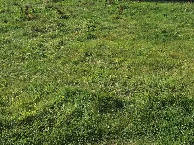 Terrain à bâtir, 950 m² - Champsecret (61700)