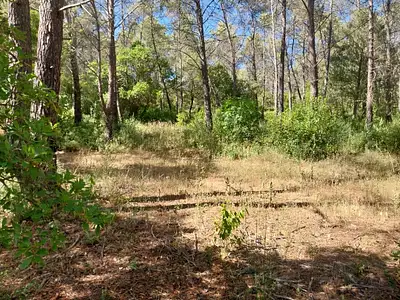 Maison neuve, 77 m²