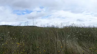 Terrain à bâtir, 906 m²