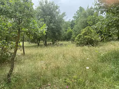 Maison neuve, 75 m²