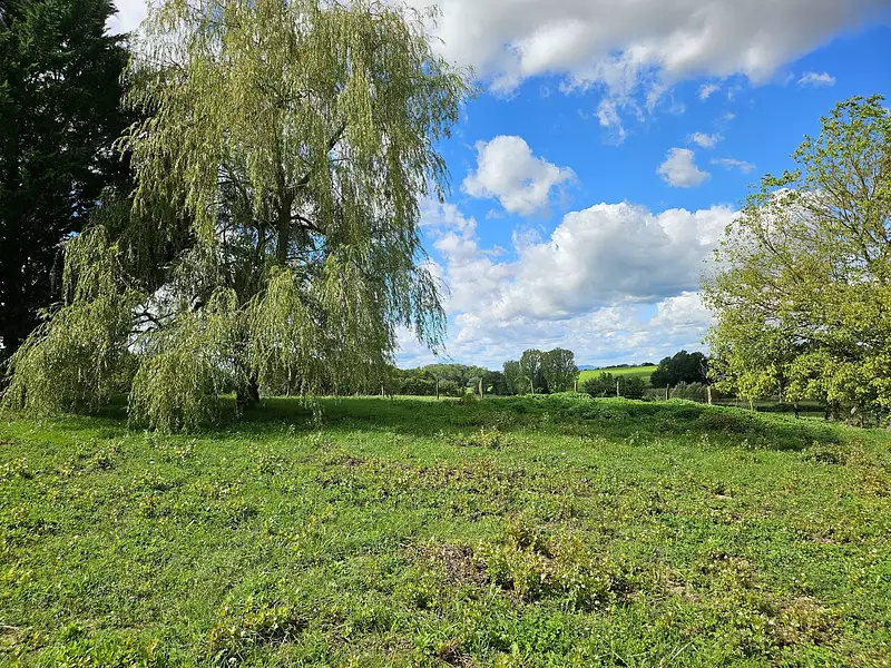 Terrain à bâtir, 945 m² - Confrançon (01310)