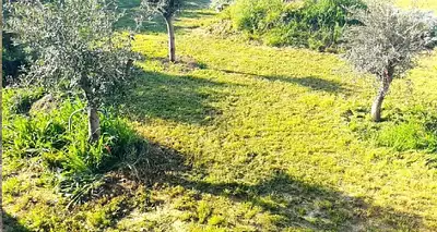 Terrain à bâtir, 980 m²