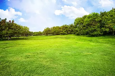 Terrain à bâtir, 1 000 m²