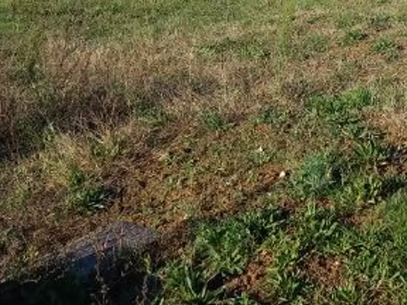 Terrain à bâtir, 383 m² - Chaumes-en-Retz (44320)