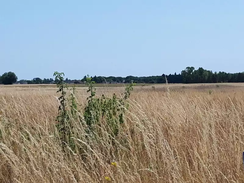 Terrain à bâtir, 1 300 m² - Reugny (37380)